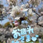 ヒメ日記 2026/03/30 20:25 投稿 ゆめ 池袋おかあさん