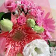 ヒメ日記 2025/10/29 06:44 投稿 愛田しおり 金瓶梅(きんぺいぱい)(雄琴)