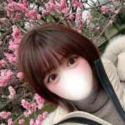 ヒメ日記 2026/03/21 08:20 投稿 愛田しおり 金瓶梅(きんぺいぱい)(雄琴)