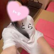 ヒメ日記 2025/08/17 19:26 投稿 とら カワサキEROTIC（ソープランド）