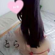 ヒメ日記 2025/09/14 12:52 投稿 とら カワサキEROTIC（ソープランド）