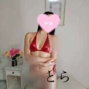 ヒメ日記 2025/09/24 11:40 投稿 とら カワサキEROTIC（ソープランド）