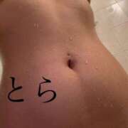 ヒメ日記 2025/11/07 07:06 投稿 とら カワサキEROTIC（ソープランド）