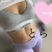 ヒメ日記 2025/11/09 17:52 投稿 とら カワサキEROTIC（ソープランド）