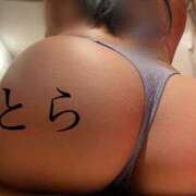 ヒメ日記 2025/11/14 12:56 投稿 とら カワサキEROTIC（ソープランド）