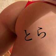 ヒメ日記 2025/11/18 10:30 投稿 とら カワサキEROTIC（ソープランド）