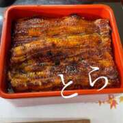 ヒメ日記 2025/11/27 14:20 投稿 とら カワサキEROTIC（ソープランド）