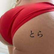 ヒメ日記 2025/12/01 19:09 投稿 とら カワサキEROTIC（ソープランド）