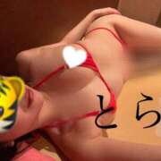 とら はみ出ちゃうやつ カワサキEROTIC（ソープランド）