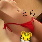 ヒメ日記 2026/05/26 09:06 投稿 とら カワサキEROTIC（ソープランド）