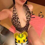 ヒメ日記 2026/06/23 08:30 投稿 とら カワサキEROTIC（ソープランド）