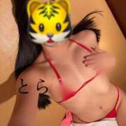 とら がおー カワサキEROTIC（ソープランド）