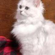 ヒメ日記 2025/09/20 10:41 投稿 美月(みづき) グランドオペラ福岡