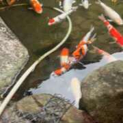 ヒメ日記 2025/10/18 08:01 投稿 美月(みづき) グランドオペラ福岡