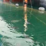 ヒメ日記 2025/11/01 22:01 投稿 美月(みづき) グランドオペラ福岡