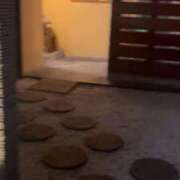 ヒメ日記 2025/11/13 12:35 投稿 美月(みづき) グランドオペラ福岡