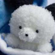 ヒメ日記 2025/08/28 23:03 投稿 えれん ぷるるん小町梅田店