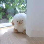 ヒメ日記 2025/09/10 22:57 投稿 えれん ぷるるん小町梅田店