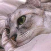 ヒメ日記 2025/12/07 12:11 投稿 えれん ぷるるん小町梅田店