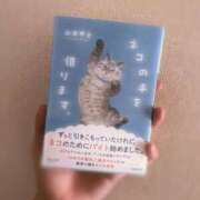 ヒメ日記 2025/12/09 09:45 投稿 えれん ぷるるん小町梅田店