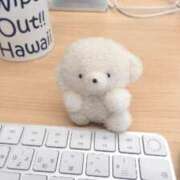 ヒメ日記 2026/01/16 20:01 投稿 えれん ぷるるん小町梅田店