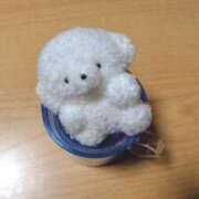 ヒメ日記 2026/03/16 21:15 投稿 えれん ぷるるん小町梅田店