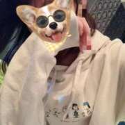 ヒメ日記 2025/11/18 13:45 投稿 ミナ ヴィーナス(金津園)