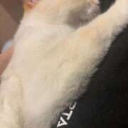 ヒメ日記 2025/08/18 23:00 投稿 まゆり ラブリップ大宮店