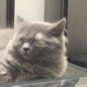 ヒメ日記 2025/09/04 18:30 投稿 まゆり ラブリップ大宮店