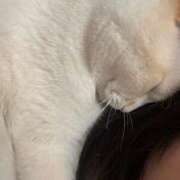 ヒメ日記 2025/08/24 01:50 投稿 まゆり ラブリップ所沢