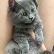 ヒメ日記 2025/09/04 12:00 投稿 まゆり ラブリップ所沢