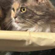 ヒメ日記 2025/10/15 19:01 投稿 まゆり ラブリップ所沢