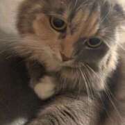 ヒメ日記 2025/10/10 01:50 投稿 まゆり ラブリップ川越