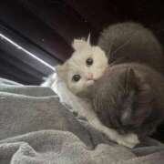 ヒメ日記 2025/10/14 23:30 投稿 まゆり ラブリップ川越