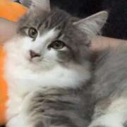 ヒメ日記 2025/10/16 15:00 投稿 まゆり ラブリップ川越