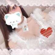 かをる 久々のブログでごめんなさい Seirenes (セイレネス)