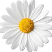 ヒメ日記 2025/08/15 10:27 投稿 なつほ ハピネス東京