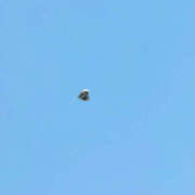 ヒメ日記 2025/09/21 17:18 投稿 なつほ ハピネス東京