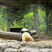 ヒメ日記 2025/10/22 13:11 投稿 なつほ ハピネス東京