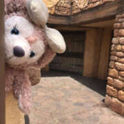 なつほ インフルなりました😭今日おやすみします ハピネス東京