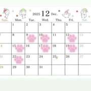 なつほ 12月後半の予定…😨😨 ハピネス東京