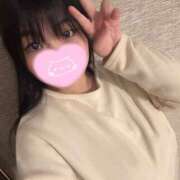 ヒメ日記 2025/08/22 14:19 投稿 こねこ スピードエコ日本橋店