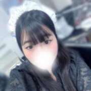 ヒメ日記 2025/08/27 10:20 投稿 こねこ スピードエコ日本橋店