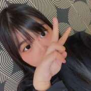 ヒメ日記 2025/08/28 08:59 投稿 こねこ スピードエコ日本橋店