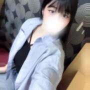 ヒメ日記 2025/09/09 10:19 投稿 こねこ スピードエコ日本橋店