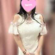 ヒメ日記 2025/09/24 15:19 投稿 こねこ スピードエコ日本橋店