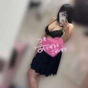 ヒメ日記 2025/09/27 08:19 投稿 こねこ スピードエコ日本橋店