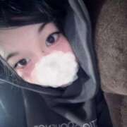 ヒメ日記 2025/10/07 09:39 投稿 こねこ スピードエコ日本橋店