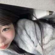 ヒメ日記 2025/10/23 10:59 投稿 こねこ スピードエコ日本橋店