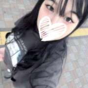 ヒメ日記 2025/10/30 08:59 投稿 こねこ スピードエコ日本橋店